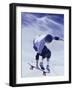 High Angle View of a Young Man Skateboarding-null-Framed Photographic Print