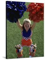 High Angle View of Cheerleaders Performing with Pom-Poms-null-Stretched Canvas