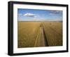 High angle view of combine harvesting corn crop, Marion County, Illinois, USA-Panoramic Images-Framed Photographic Print
