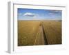 High angle view of combine harvesting corn crop, Marion County, Illinois, USA-Panoramic Images-Framed Photographic Print