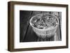 High angle view of crabs in a basket, Maryland, USA-Jerry Driendl-Framed Photographic Print