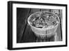 High angle view of crabs in a basket, Maryland, USA-Jerry Driendl-Framed Photographic Print