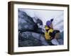 High Angle View of Female Ice Climber-null-Framed Photographic Print