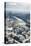 High Angle View of Frankfurt-Am-Main, Hesse, Germany, Europe-Mark Doherty-Stretched Canvas