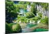 High Angle View of Lakes, Gavanovac Lake, Milanovac Lake, Plitvice Lakes National Park, Croatia-null-Mounted Photographic Print