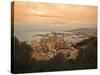 High Angle View of Malaga Cityscape with Bullring and Docks, Andalusia, Spain, Europe-Ian Egner-Stretched Canvas