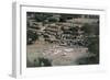 High Angle View of Old Ruins, Ancient Agora, Athens, Greece-null-Framed Giclee Print