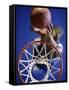 High Angle View of Person Shooting Hoops-null-Framed Stretched Canvas