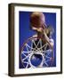 High Angle View of Person Shooting Hoops-null-Framed Photographic Print