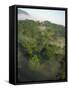 High Angle View of Rainforest-Murray Louise-Framed Stretched Canvas