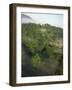 High Angle View of Rainforest-Murray Louise-Framed Photographic Print