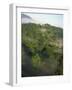 High Angle View of Rainforest-Murray Louise-Framed Photographic Print