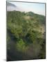 High Angle View of Rainforest-Murray Louise-Mounted Photographic Print