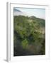 High Angle View of Rainforest-Murray Louise-Framed Photographic Print