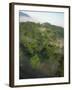 High Angle View of Rainforest-Murray Louise-Framed Photographic Print