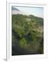 High Angle View of Rainforest-Murray Louise-Framed Photographic Print