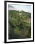 High Angle View of Rainforest-Murray Louise-Framed Photographic Print