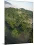 High Angle View of Rainforest-Murray Louise-Mounted Photographic Print