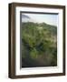 High Angle View of Rainforest-Murray Louise-Framed Photographic Print