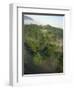 High Angle View of Rainforest-Murray Louise-Framed Photographic Print