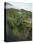 High Angle View of Rainforest-Murray Louise-Stretched Canvas