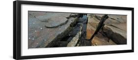 High angle view of rocks at coast, Acadia National Park, Maine, USA-null-Framed Photographic Print