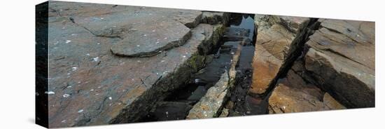 High angle view of rocks at coast, Acadia National Park, Maine, USA-null-Stretched Canvas