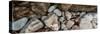 High angle view of rocks at coast, Acadia National Park, Maine, USA-null-Stretched Canvas