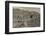 High angle view of Royal Tombs at Ancient Nabatean City of Petra, Wadi Musa, Ma'an Governorate,...-null-Framed Premium Photographic Print