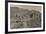 High angle view of Royal Tombs at Ancient Nabatean City of Petra, Wadi Musa, Ma'an Governorate,...-null-Framed Photographic Print