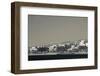 High angle view of Tala Harbor Development Marina, Aqaba, Jordan-null-Framed Photographic Print