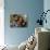 High Angle View of Teenage Girls Playing Basketball-null-Mounted Photographic Print displayed on a wall