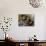 High Angle View of Teenage Girls Playing Basketball-null-Mounted Photographic Print displayed on a wall