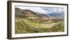 High angle view of terraced field, Colquepata District, Cusco Region, Peru-null-Framed Photographic Print