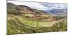 High angle view of terraced field, Colquepata District, Cusco Region, Peru-null-Mounted Photographic Print