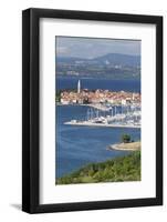 High Angle View of the Old Town and the Harbour of Izola, Primorska, Istria, Slovenia, Europe-Markus Lange-Framed Photographic Print