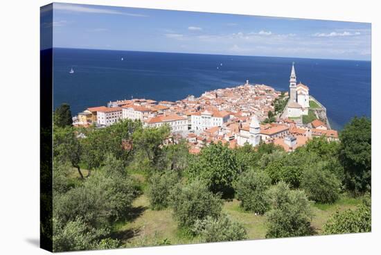 High Angle View of the Old Town with Tartini Square-Markus Lange-Stretched Canvas