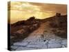 High Angle View of the Sacred Way, Ancient Thera, Santorini, Cyclades Islands, Southern Aegean-null-Stretched Canvas