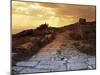 High Angle View of the Sacred Way, Ancient Thera, Santorini, Cyclades Islands, Southern Aegean-null-Mounted Giclee Print