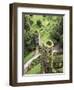 High Angle View of Towers, Blarney Castle, County Cork, Ireland-Miva Stock-Framed Photographic Print