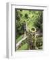 High Angle View of Towers, Blarney Castle, County Cork, Ireland-Miva Stock-Framed Premium Photographic Print