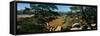 High angle view of trees in a field, Gibraltar Rock State Natural Area, Columbia County, Wiscons...-null-Framed Stretched Canvas