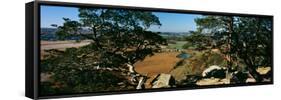 High angle view of trees in a field, Gibraltar Rock State Natural Area, Columbia County, Wiscons...-null-Framed Stretched Canvas