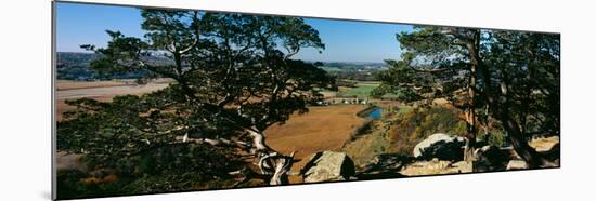 High angle view of trees in a field, Gibraltar Rock State Natural Area, Columbia County, Wiscons...-null-Mounted Photographic Print