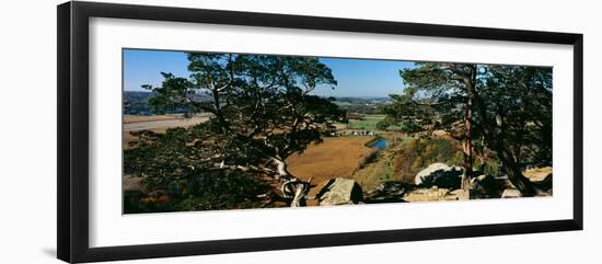 High angle view of trees in a field, Gibraltar Rock State Natural Area, Columbia County, Wiscons...-null-Framed Photographic Print