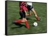 High Angle View of Two People Playing Soccer-null-Framed Stretched Canvas