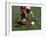 High Angle View of Two People Playing Soccer-null-Framed Premium Photographic Print