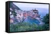 High Angle View of Vernazza, Cinque Terre, UNESCO World Heritage Site, Liguria, Italy, Europe-Peter Groenendijk-Framed Stretched Canvas