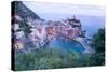 High Angle View of Vernazza, Cinque Terre, UNESCO World Heritage Site, Liguria, Italy, Europe-Peter Groenendijk-Stretched Canvas