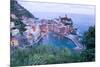 High Angle View of Vernazza, Cinque Terre, UNESCO World Heritage Site, Liguria, Italy, Europe-Peter Groenendijk-Mounted Photographic Print